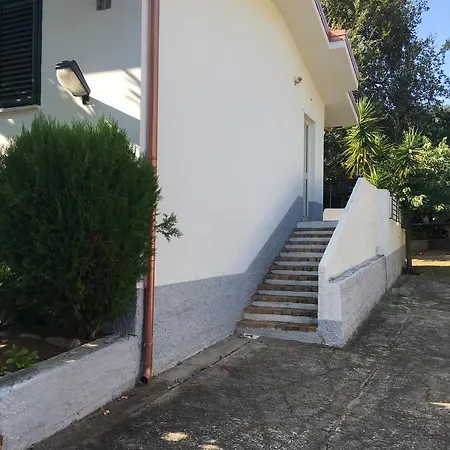 Noemi