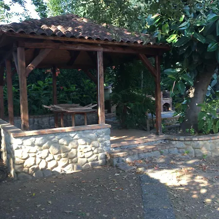Noemi Villa